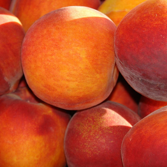 Close-up of fuzzy peaches clustered on wooden background.