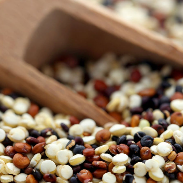 Close-up of mixed quinoa grains with a wooden scoop.