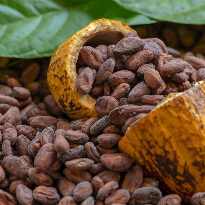 Cacao beans spilling out of a dried cacao shell on leaves.