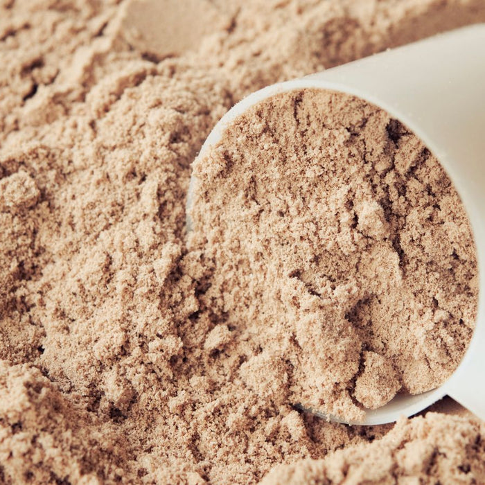 Close-up of a scoop filled with chocolate protein powder on a surface