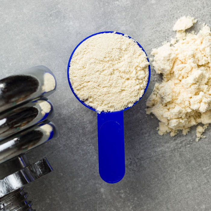 Scoop of whey protein powder with dumbbell on gray background.
