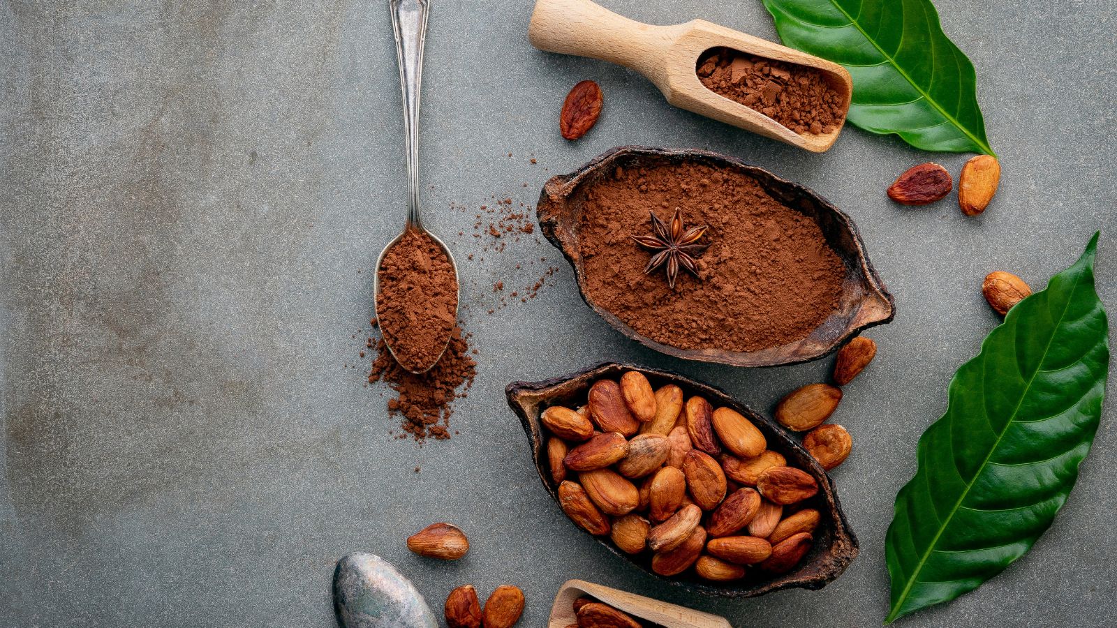 Cacao beans and cocoa powder with leaves and star anise