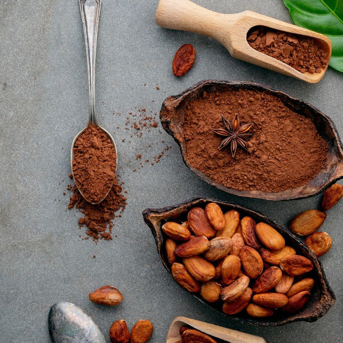 Cacao beans and cocoa powder with leaves and star anise