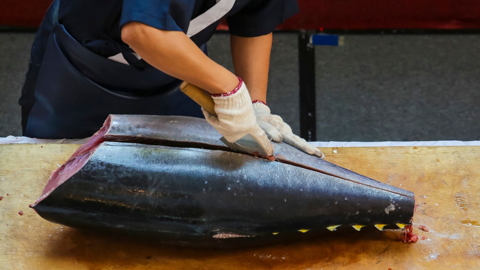 Chef cutting large tuna fish on wooden board for filleting