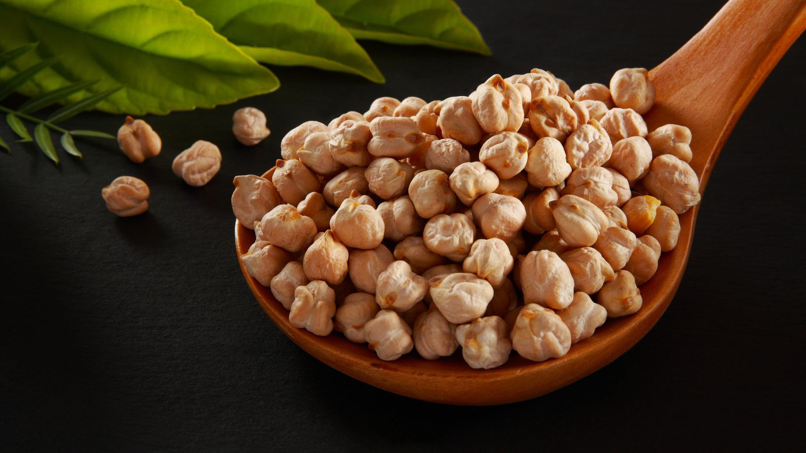 Wooden spoon filled with dried chickpeas on dark background