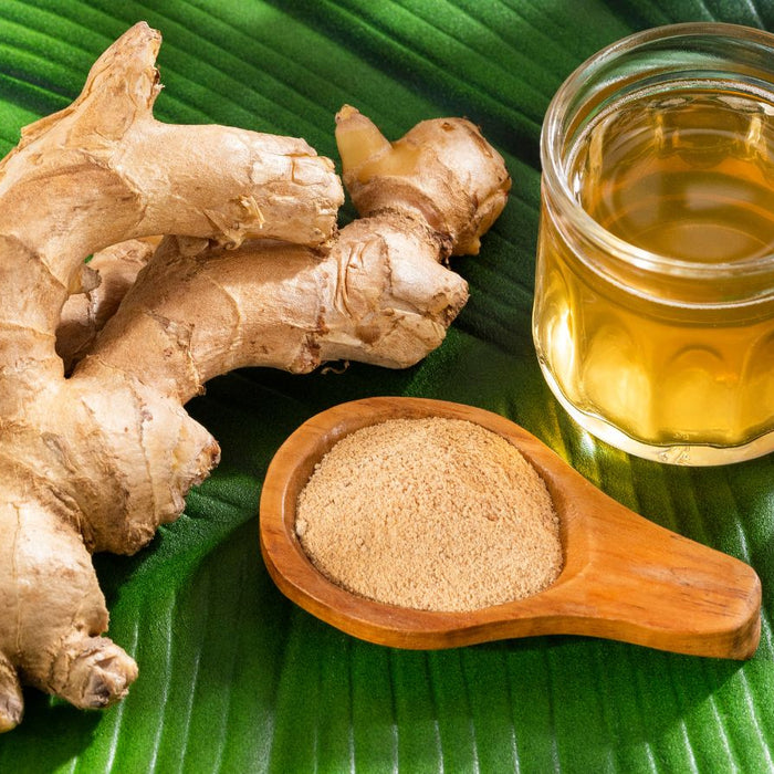Fresh ginger root with ground ginger powder and ginger tea on leaf
