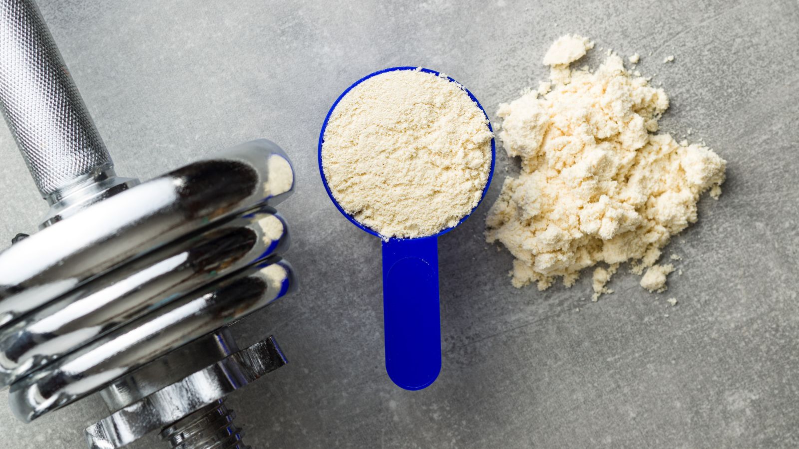 Scoop of whey protein powder with dumbbell on gray background.