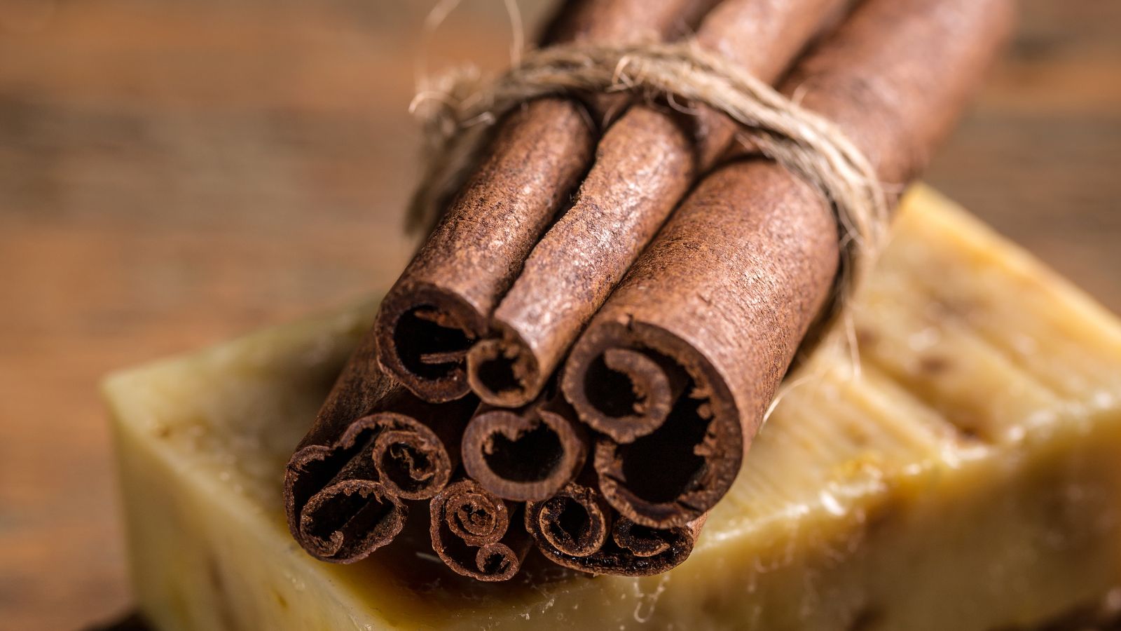 Dark cinnamon sticks tied with twine on a soap bar.