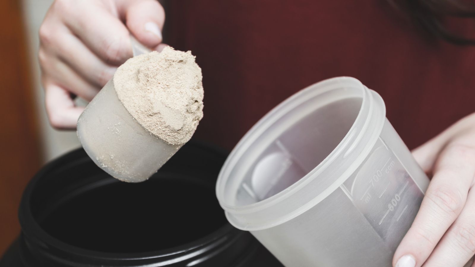 Person scooping protein powder into a shaker cup.
