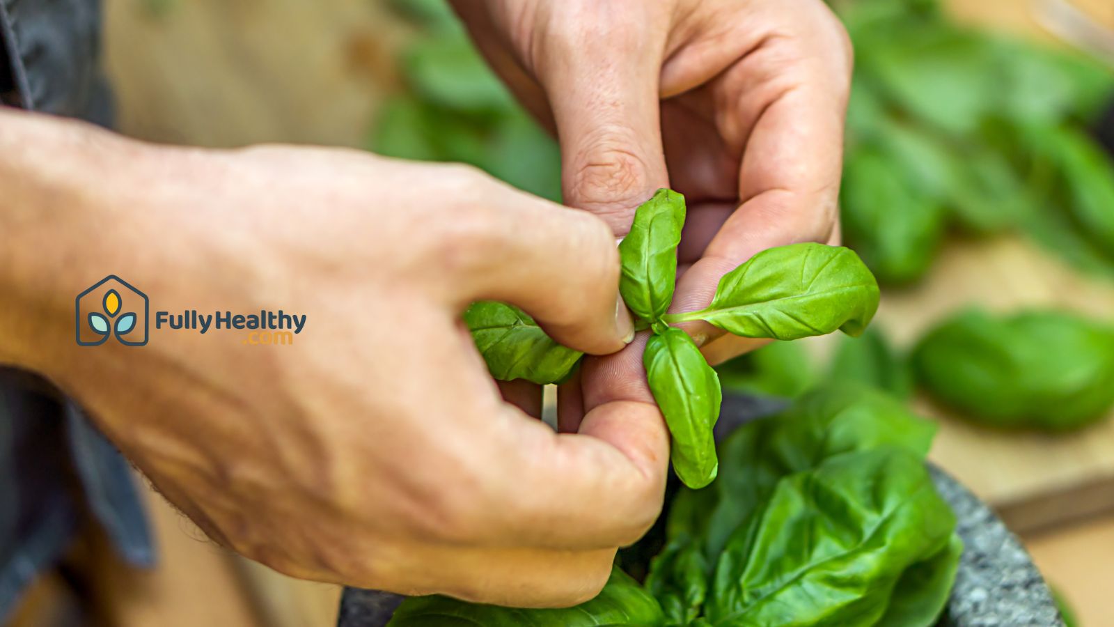 Hands picking fresh basil leaves for healthy meal prep