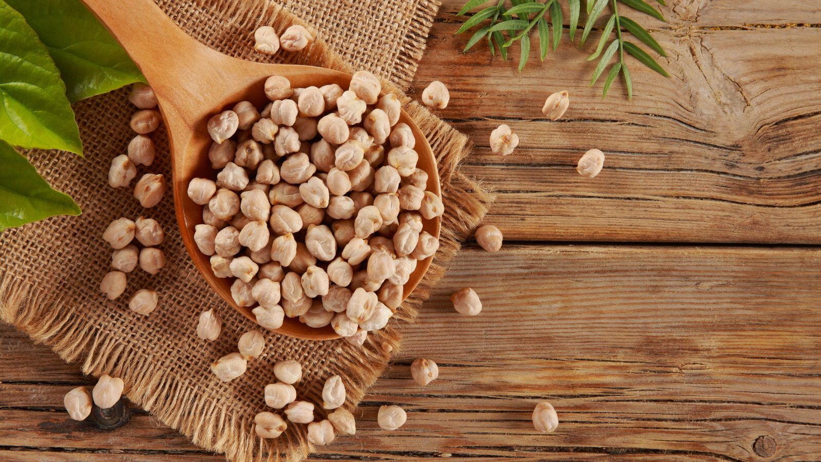 Wooden spoon with dried chickpeas on rustic wooden surface