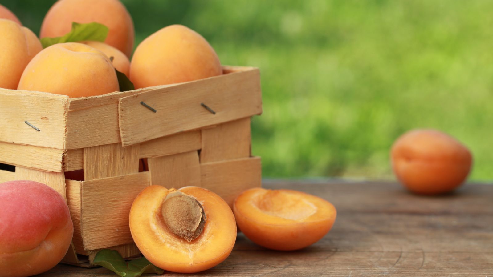 Basket of ripe apricots with one cut open on a wooden table