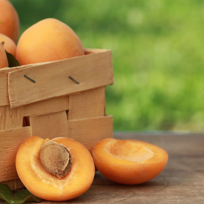Basket of ripe apricots with one cut open on a wooden table