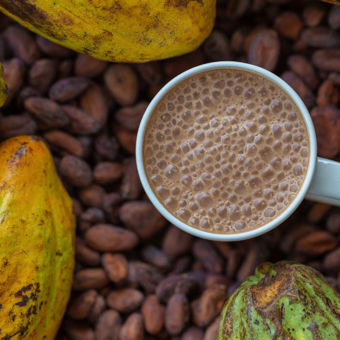 Cup of hot chocolate with cacao pods and beans around.