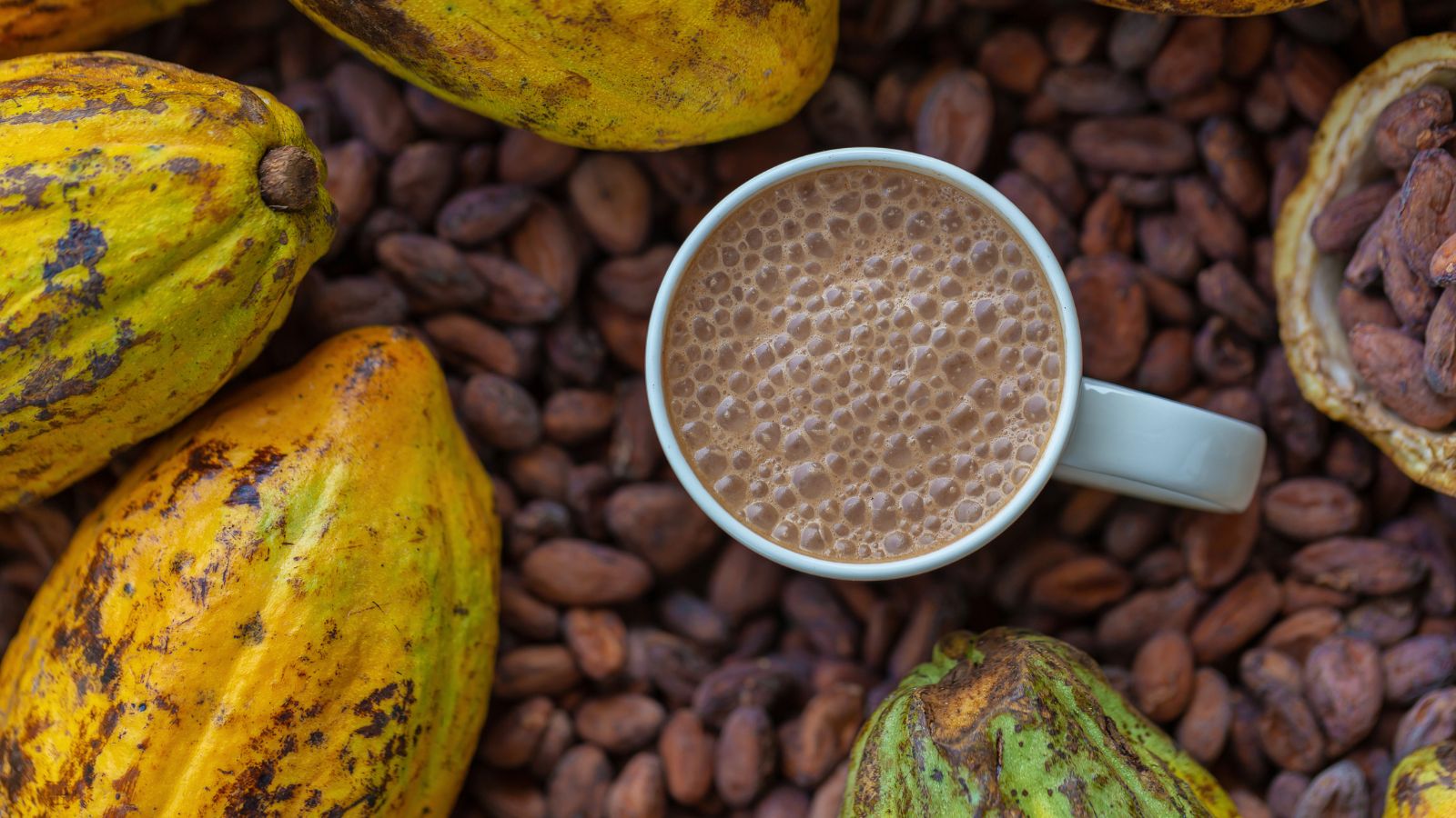 Cup of hot chocolate with cacao pods and beans around.