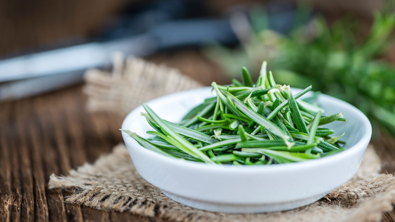Fresh rosemary sprigs in a white bowl on rustic wooden table surface