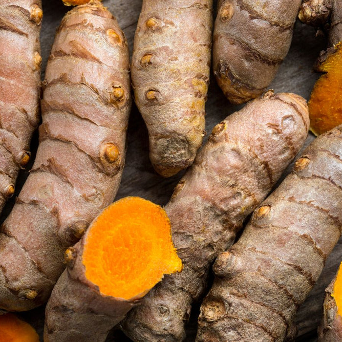 Close-up of sliced turmeric roots showing bright orange interior