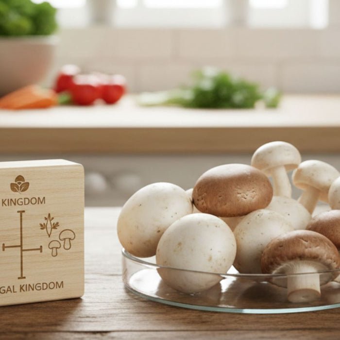 Wood block compares plant and fungal kingdoms beside mushrooms