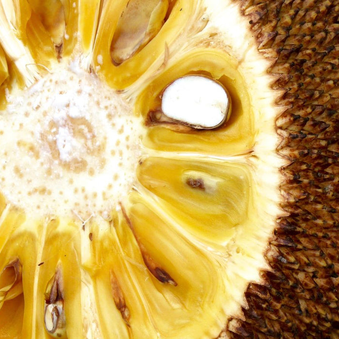 Close-up of ripe jackfruit showing yellow fruit and seeds