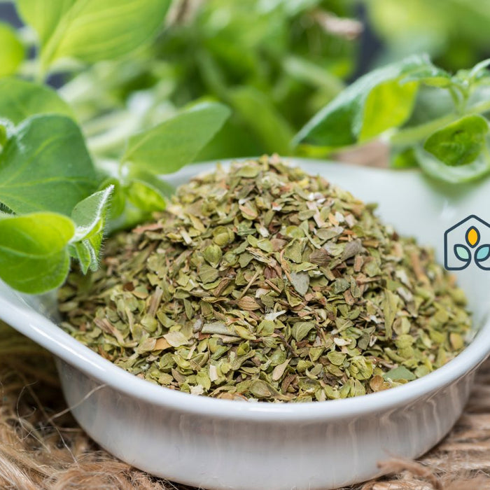 Fresh oregano leaves and dried oregano in white bowl.
