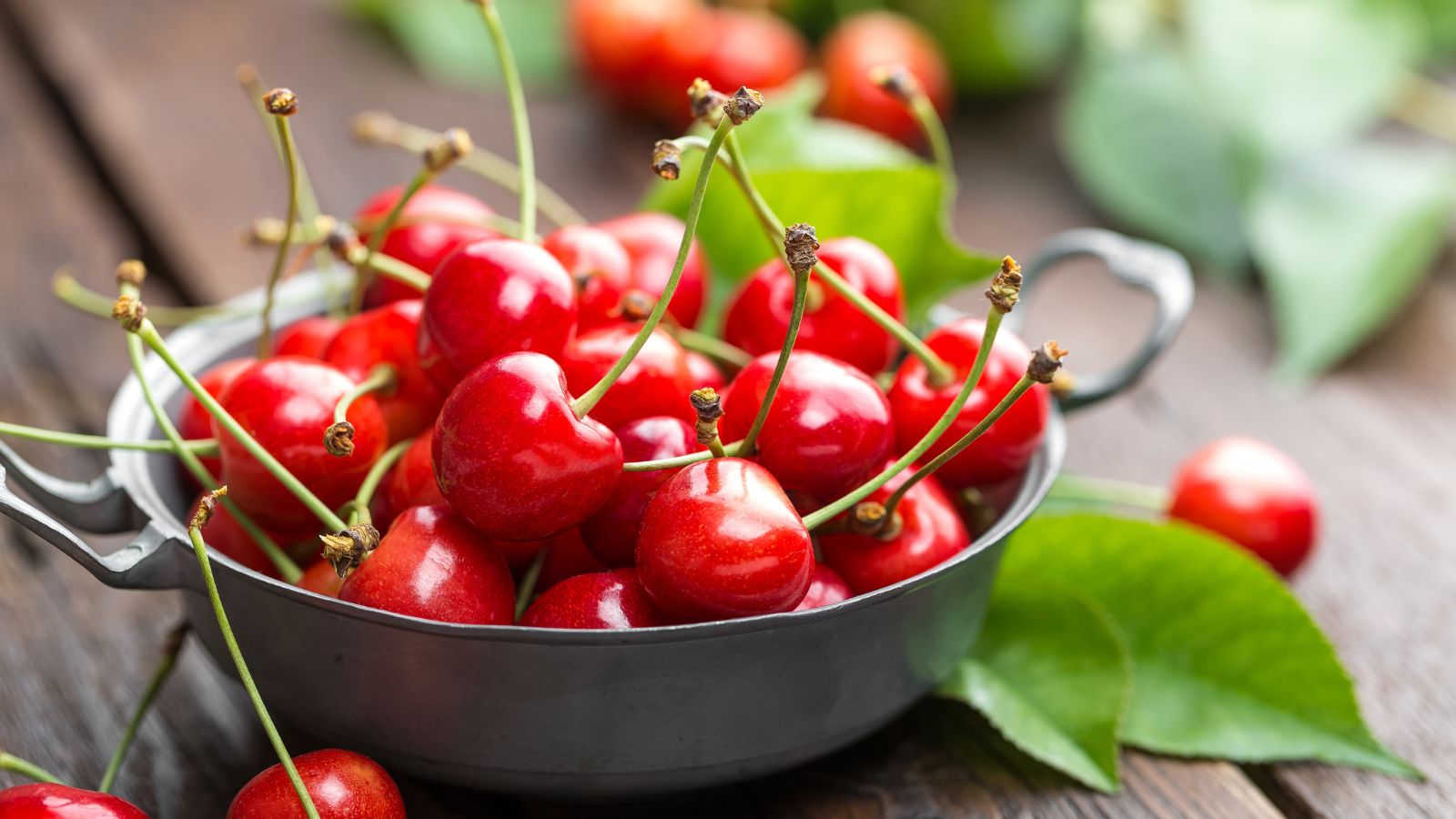 Fresh red cherries in a metal bowl with green leaves on wooden table