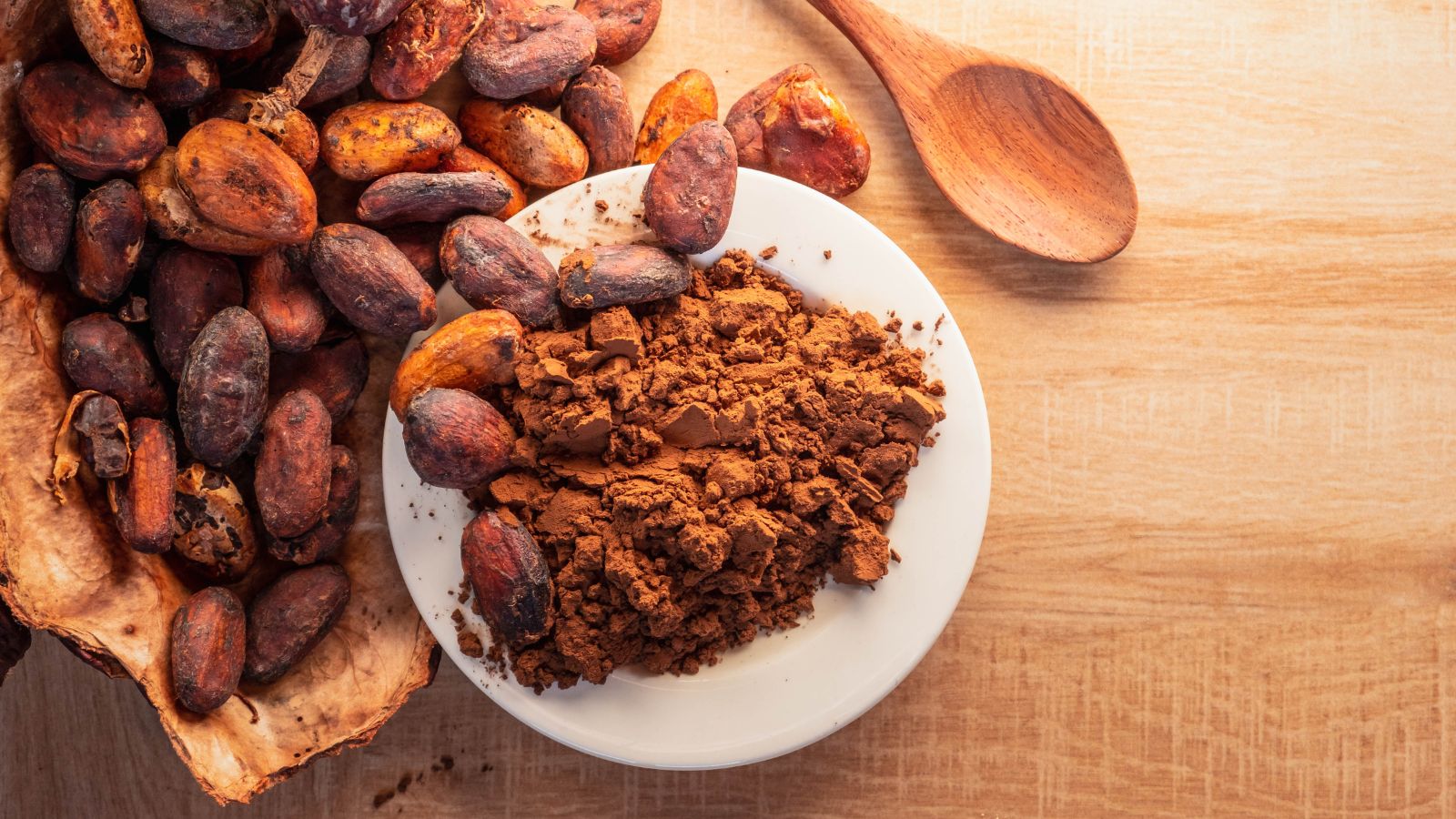 Cacao beans and cocoa powder on plate with wooden spoon