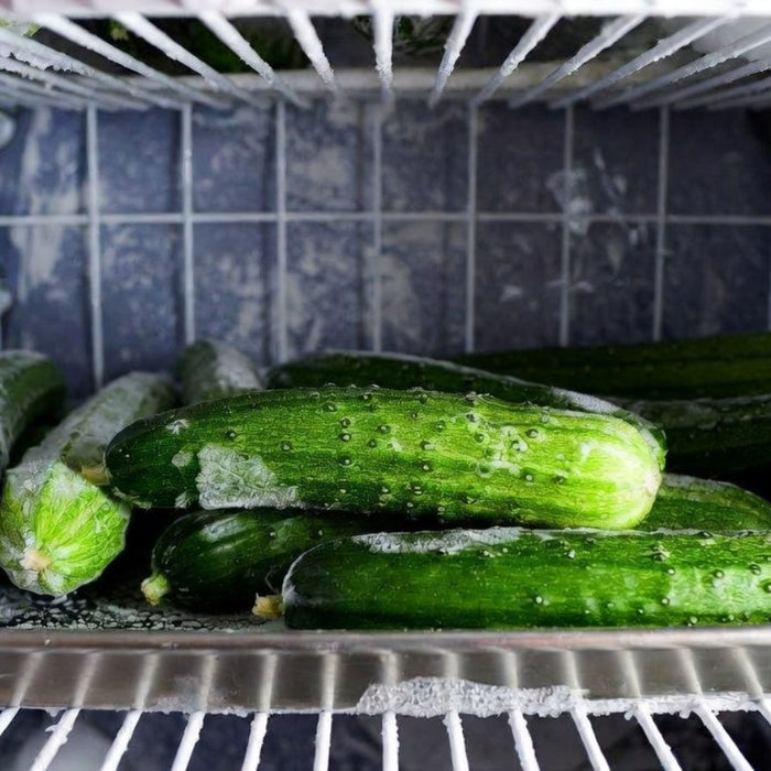 Frozen cucumbers on tray inside an icy freezer compartment indoors