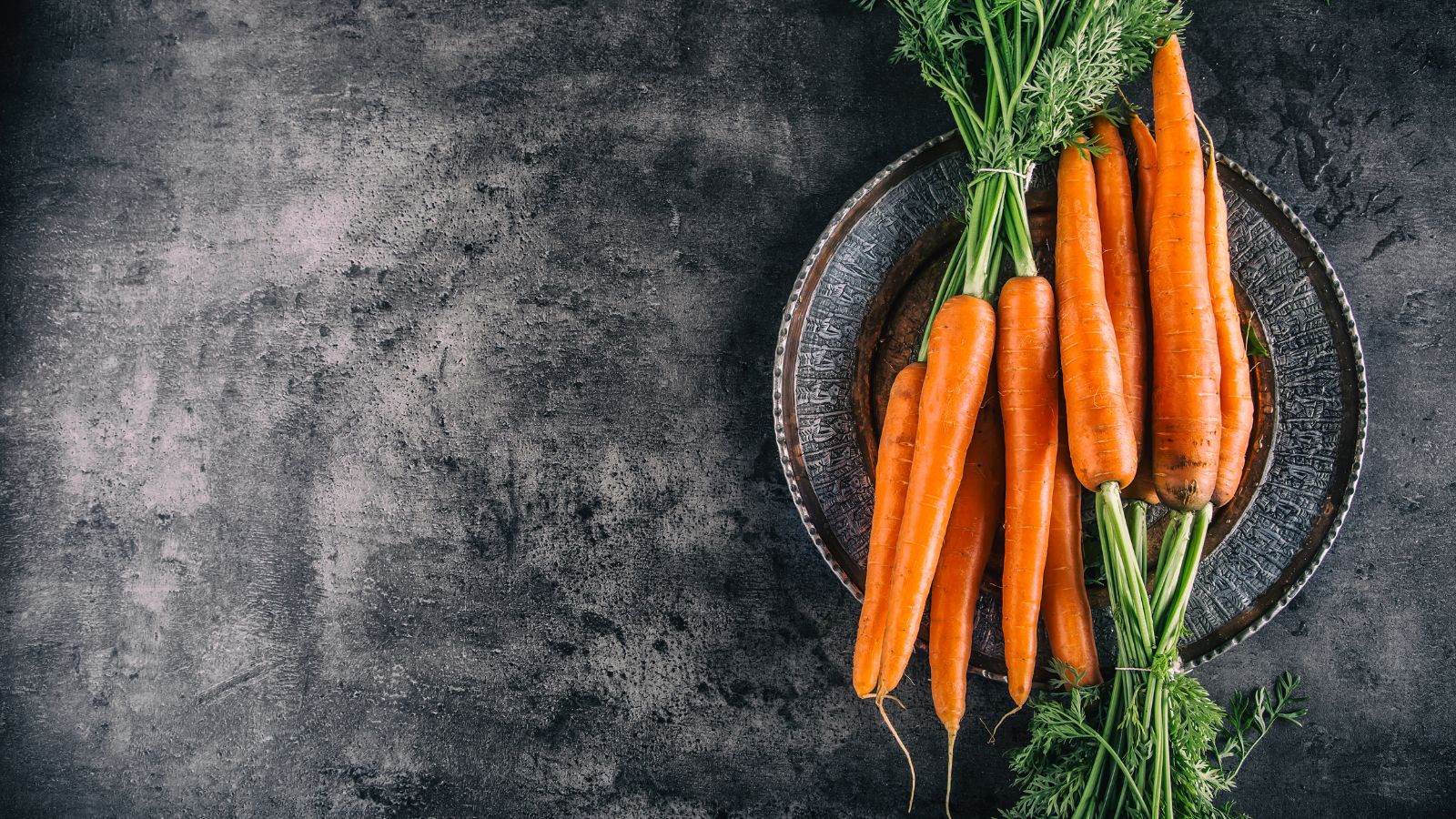 Fresh carrots with green tops on dark textured background