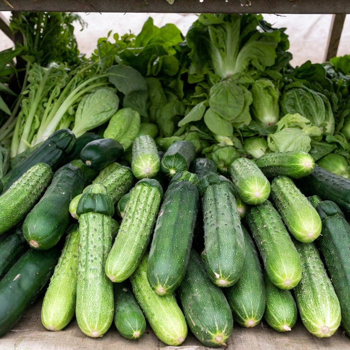 Pile of fresh cucumbers displayed with vibrant greens at market stall