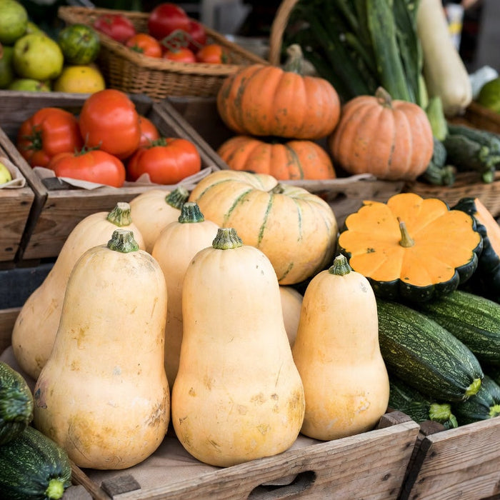 Fresh squash varieties displayed in rustic market crates