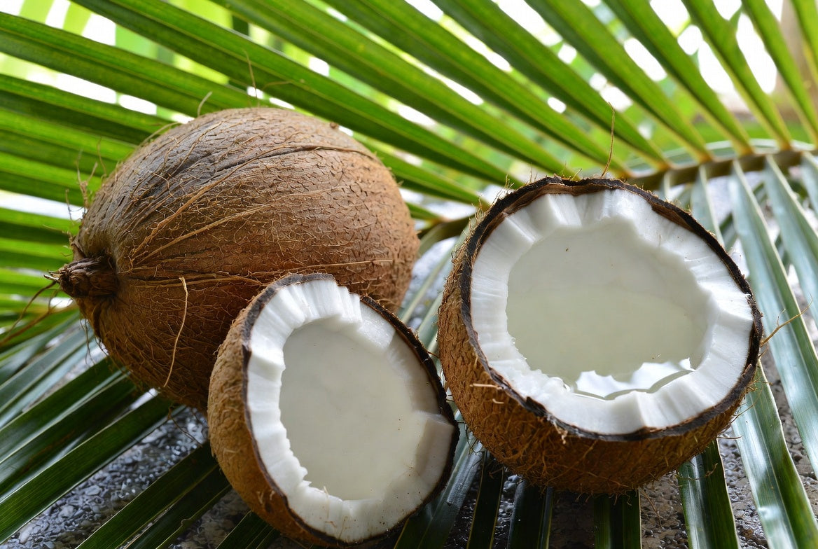 Whole and halved coconut on palm leaves in natural daylight