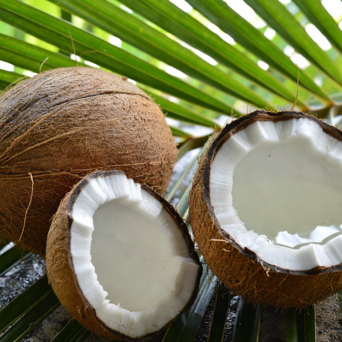 Whole and halved coconut on palm leaves in natural daylight