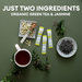 Cusa Tea & Coffee // Jasmine Green Tea Ingredients Pictures
