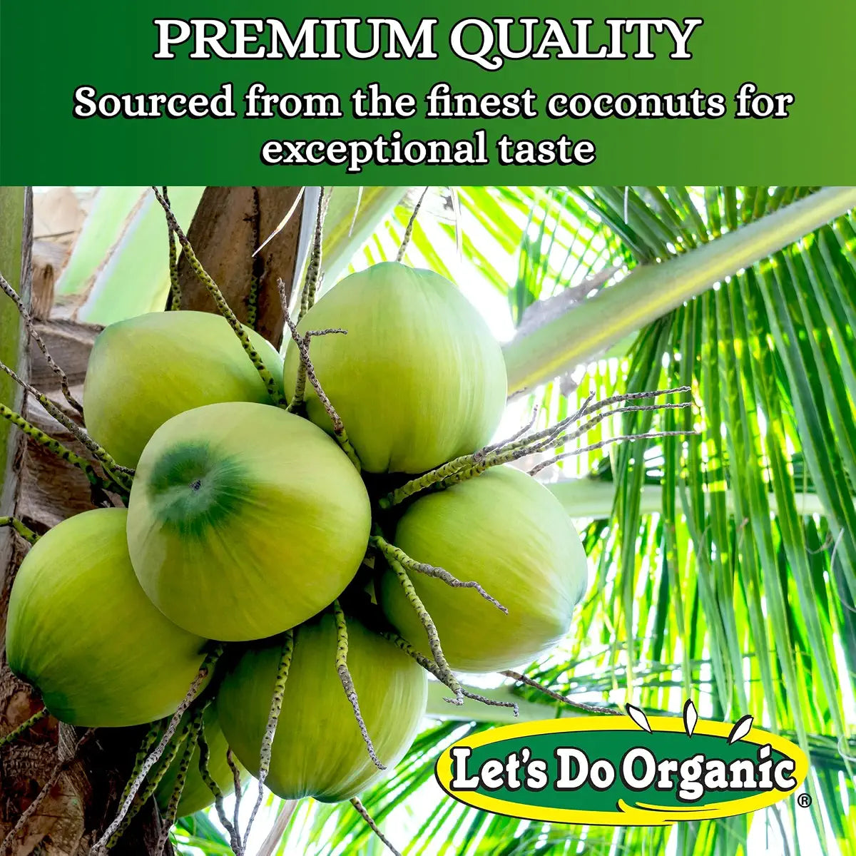 Let's Do Organic Shredded Coconut - Unsweetened, 8 oz