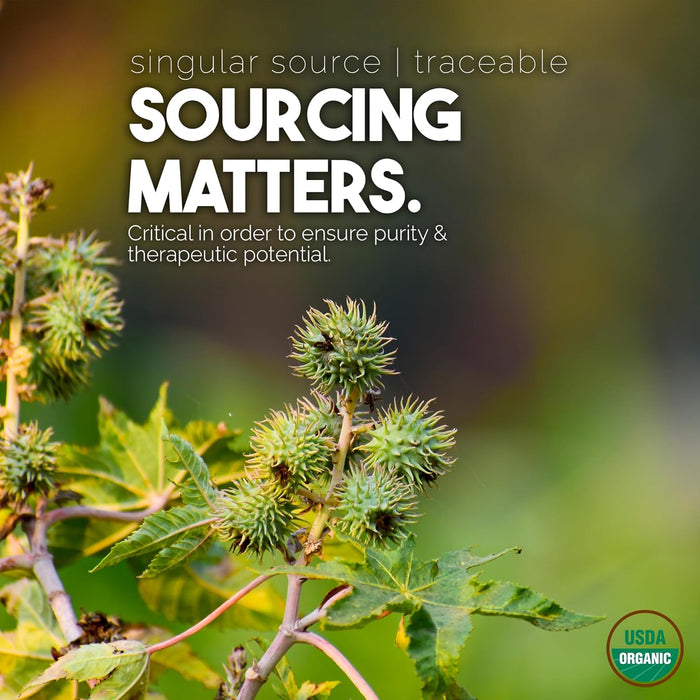 Balm of Gilead // 100 Pure Undiluted Castor Oil 16 fl oz