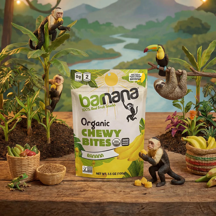 Barnana Organic Chewy Banana Bites, 3.5 oz