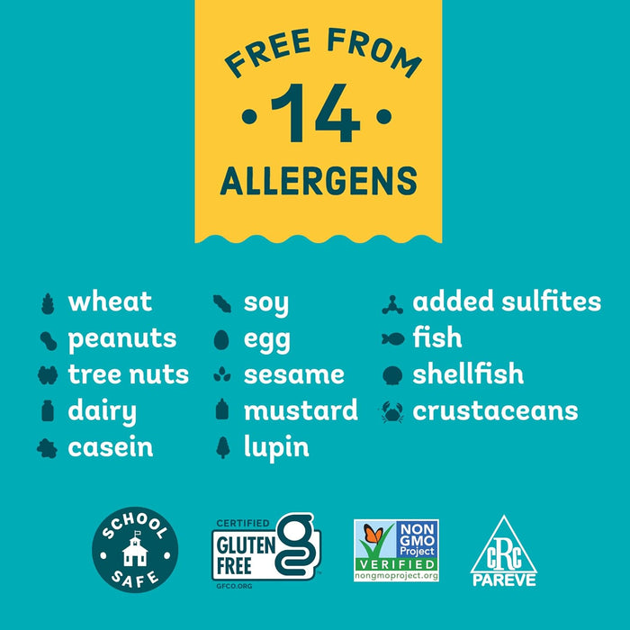 Enjoy Life // Semi-Sweet Mini Chocolate Chips, 9 oz