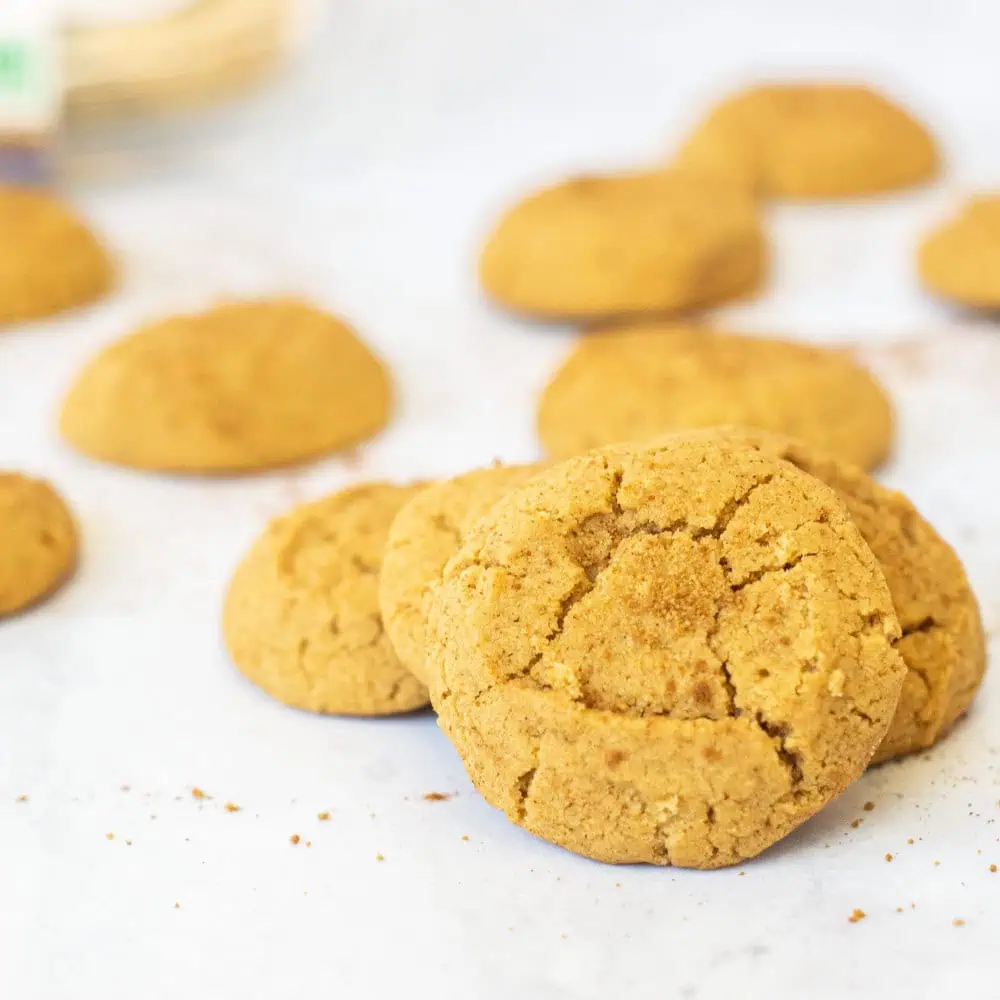 Jack's Allergen Friendly Bakery // Snickerdoodle Cookies, 7 oz (12 Cookies)