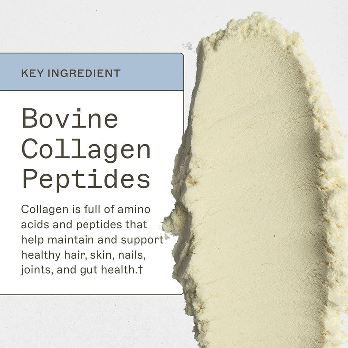 Paleo Protein Powder - Vanilla Bean