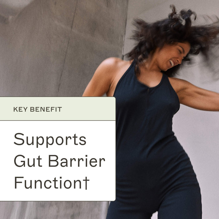 Paleo Protein - Pumpkin Spice