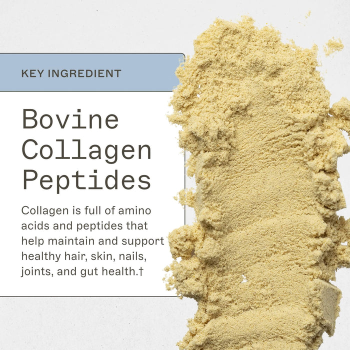 Paleo Protein - Pumpkin Spice