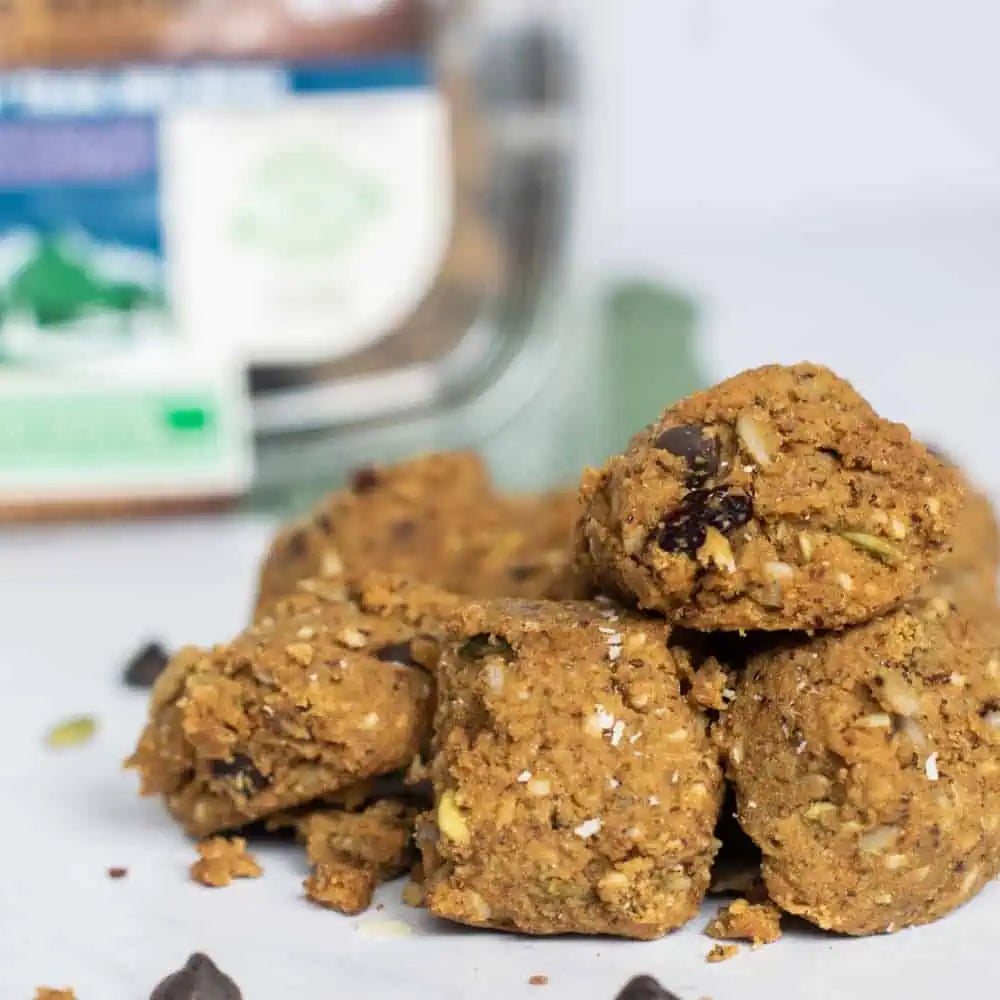 Jack's Paleo Kitchen // Chocolate Cranberry Nut-Free Trail Mix Bites, 7 oz (12 Bites)