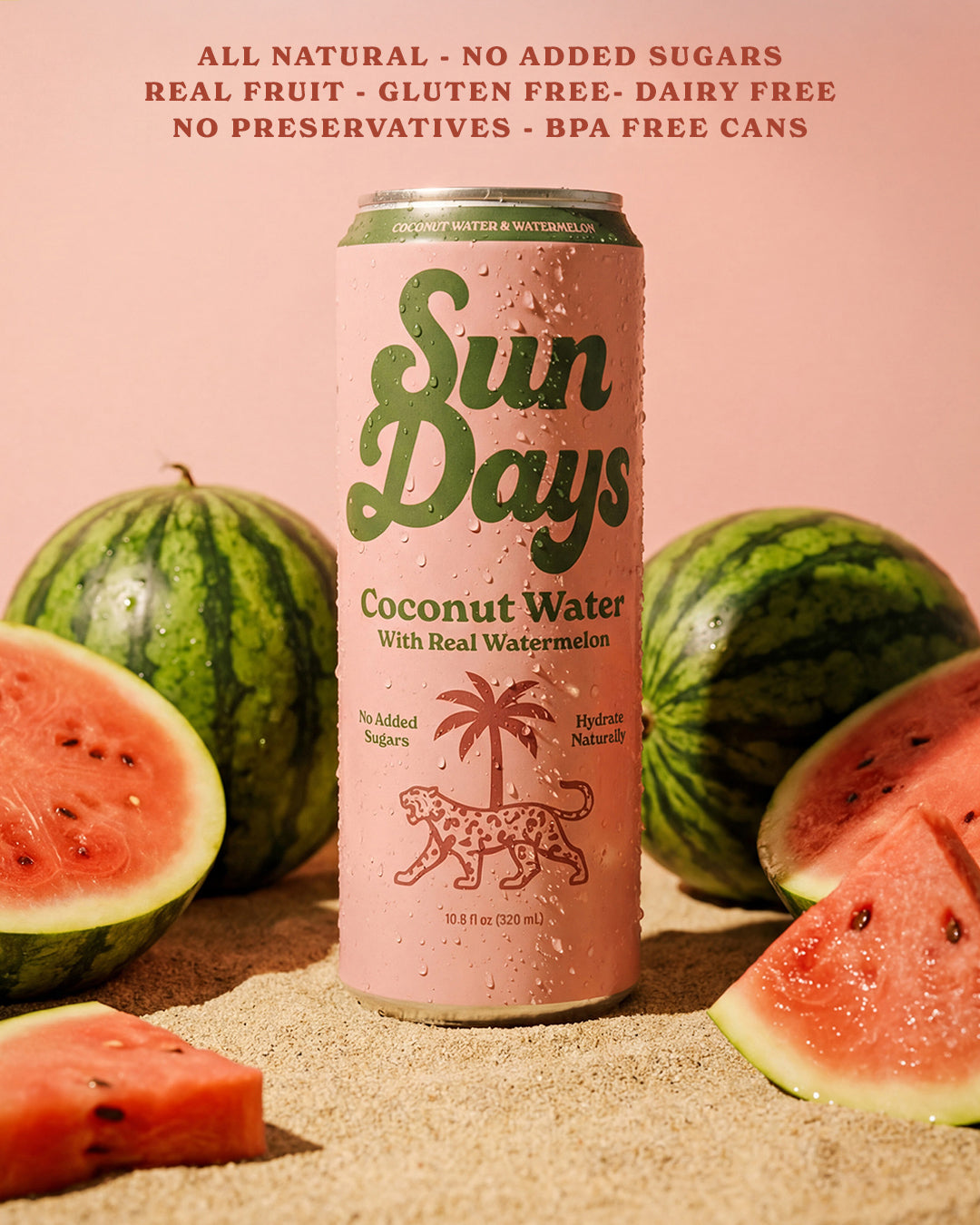Sun Days // Coconut Water with Watermelon 10.8 fl oz